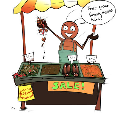 roachmarketsketchcol