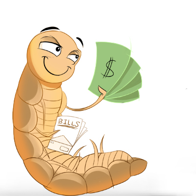 commercial insect breeding