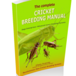 Cricket-Breeding-Manual-231x300
