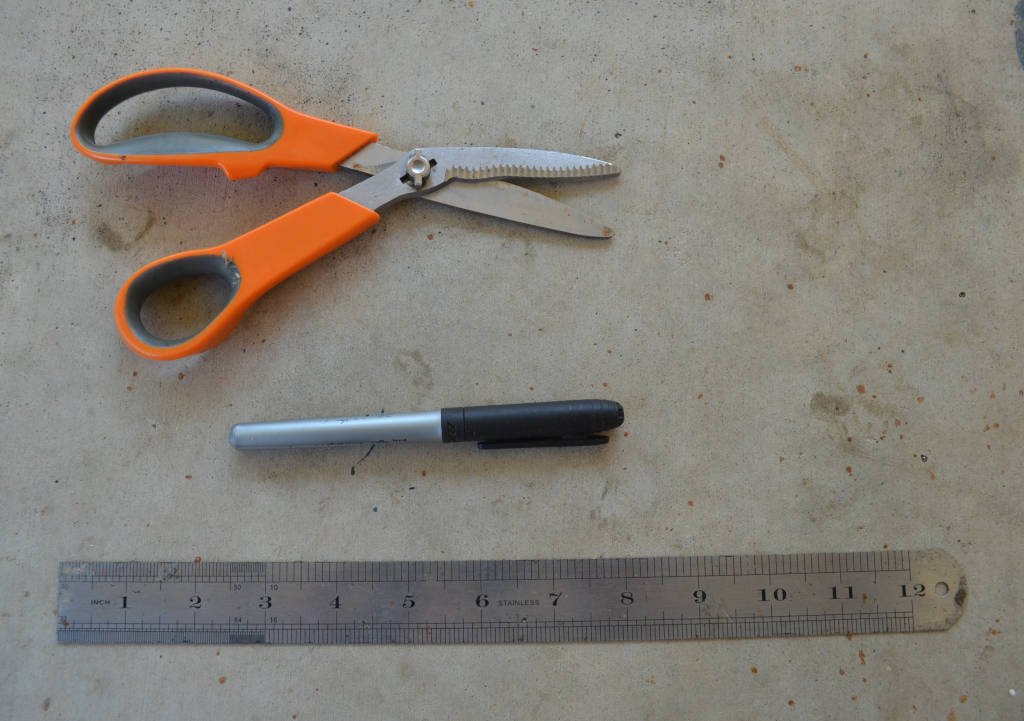 photo of materials to build a DIY insect farm including scissors, marker and ruler