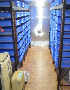 photo of a commercial mealworm farm with multiple racks of blue mealworm trays. Mealworm farm is climatically controlled with an air conditioner, humudifier, ventilation fans and aluminium reflective insulation.