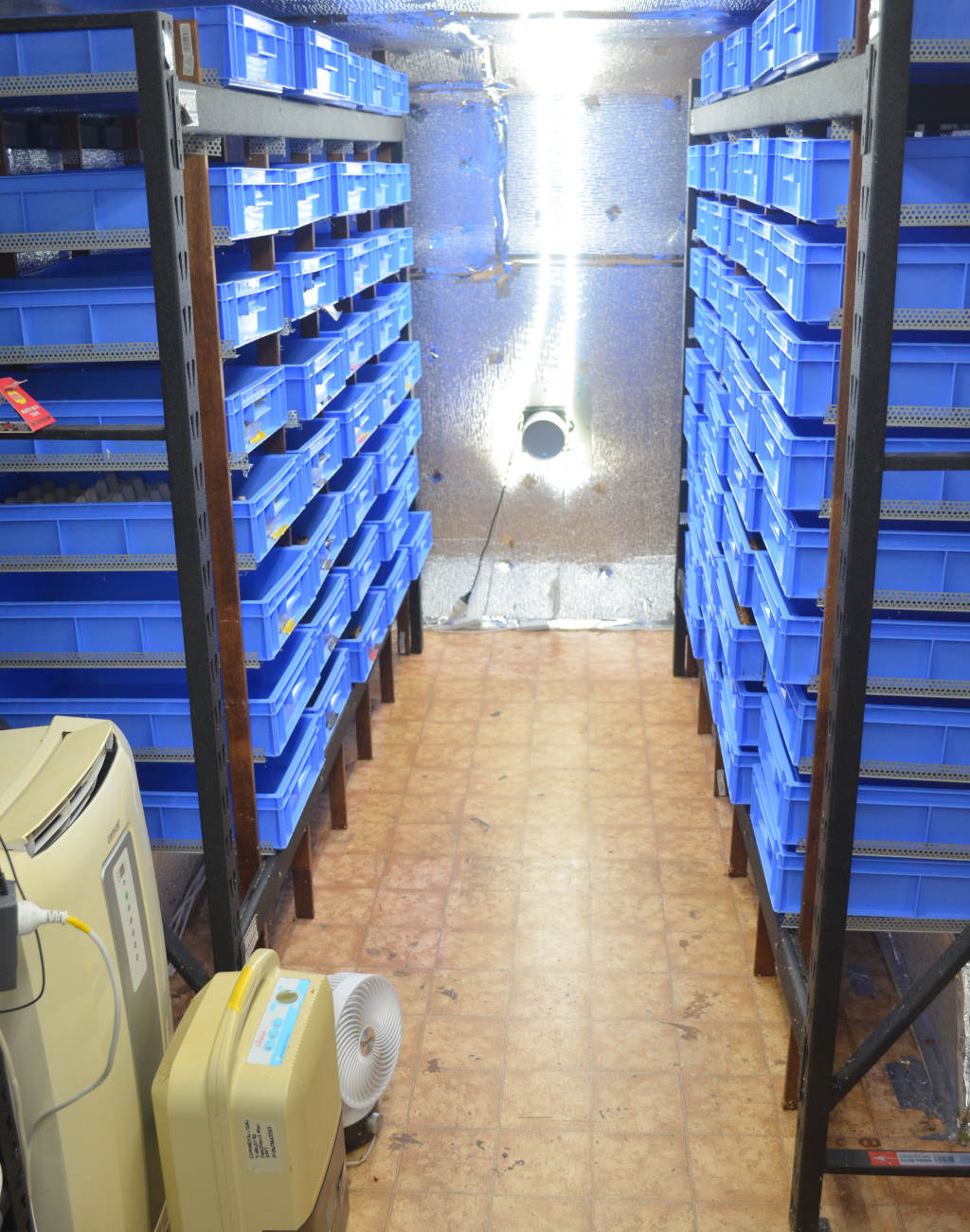 commercial-mealworm-farming photo of a commercial mealworm farm with multiple racks of blue mealworm trays. Mealworm farm is climatically controlled with an air conditioner, humudifier, ventilation fans and aluminium reflective insulation.