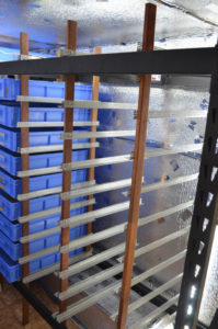 photo of the partial build of a a mealworm shelving rack system. The shelving has a metal frame with wood vertical breams to support metal rails. Mealworm rack is located within a commercial mealworm farm with aluminium insulation on walls.