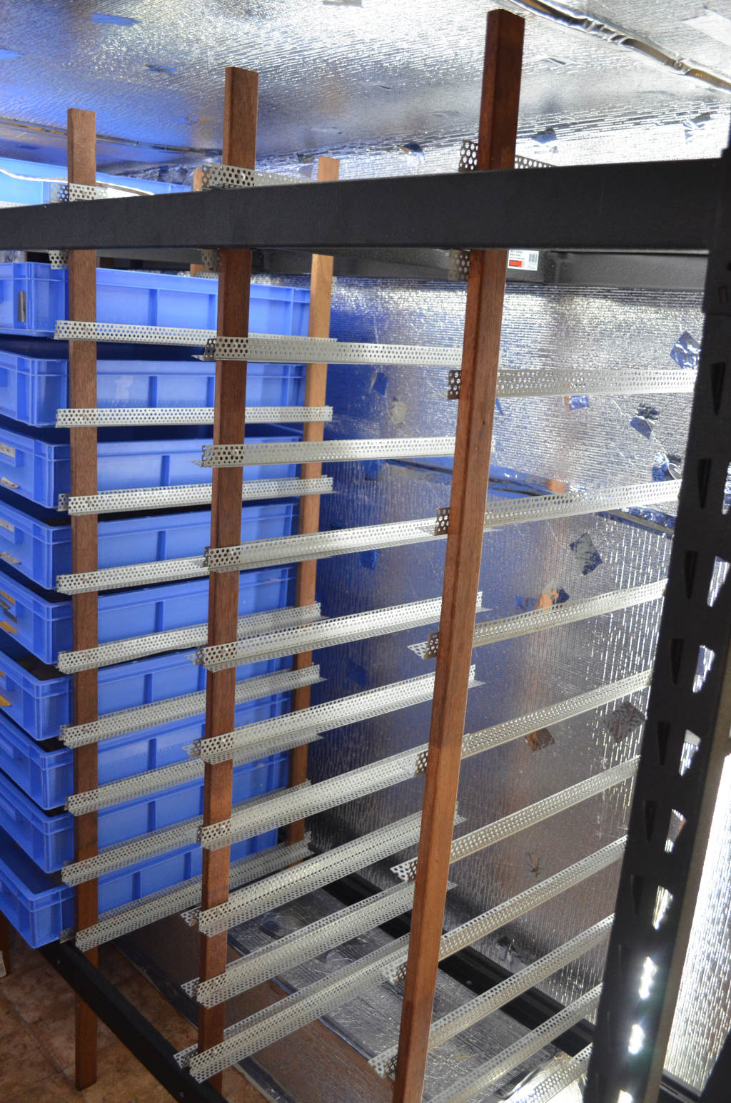 photo of the partial build of a a mealworm shelving rack system. The shelving has a metal frame with wood vertical breams to support metal rails. Mealworm rack is located within a commercial mealworm farm with aluminium insulation on walls.