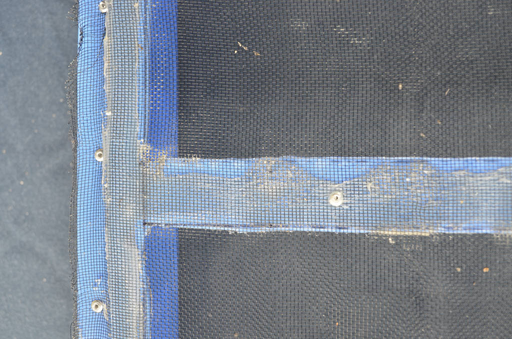 photo of how to build a screen mealworm beetle tray. A section of the tray has been cut out on the bottom, and aluminium screening is attached to the bottom with silica and silicon.
