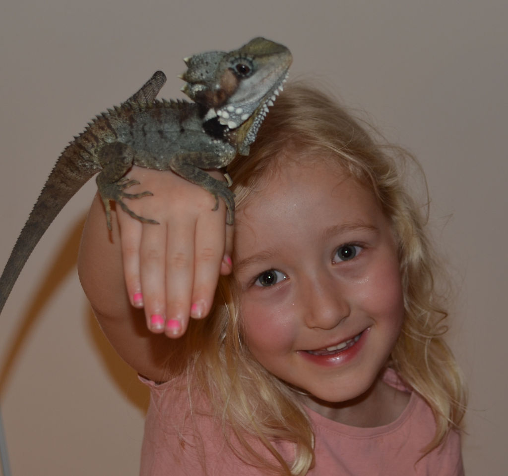 Photo of a girl holding up a boyd's forest dragon lizard.